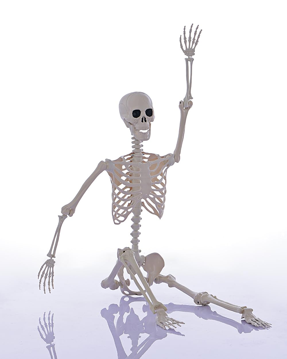 Life Size Posable Full Body Skeleton with Movable Joints Z53106