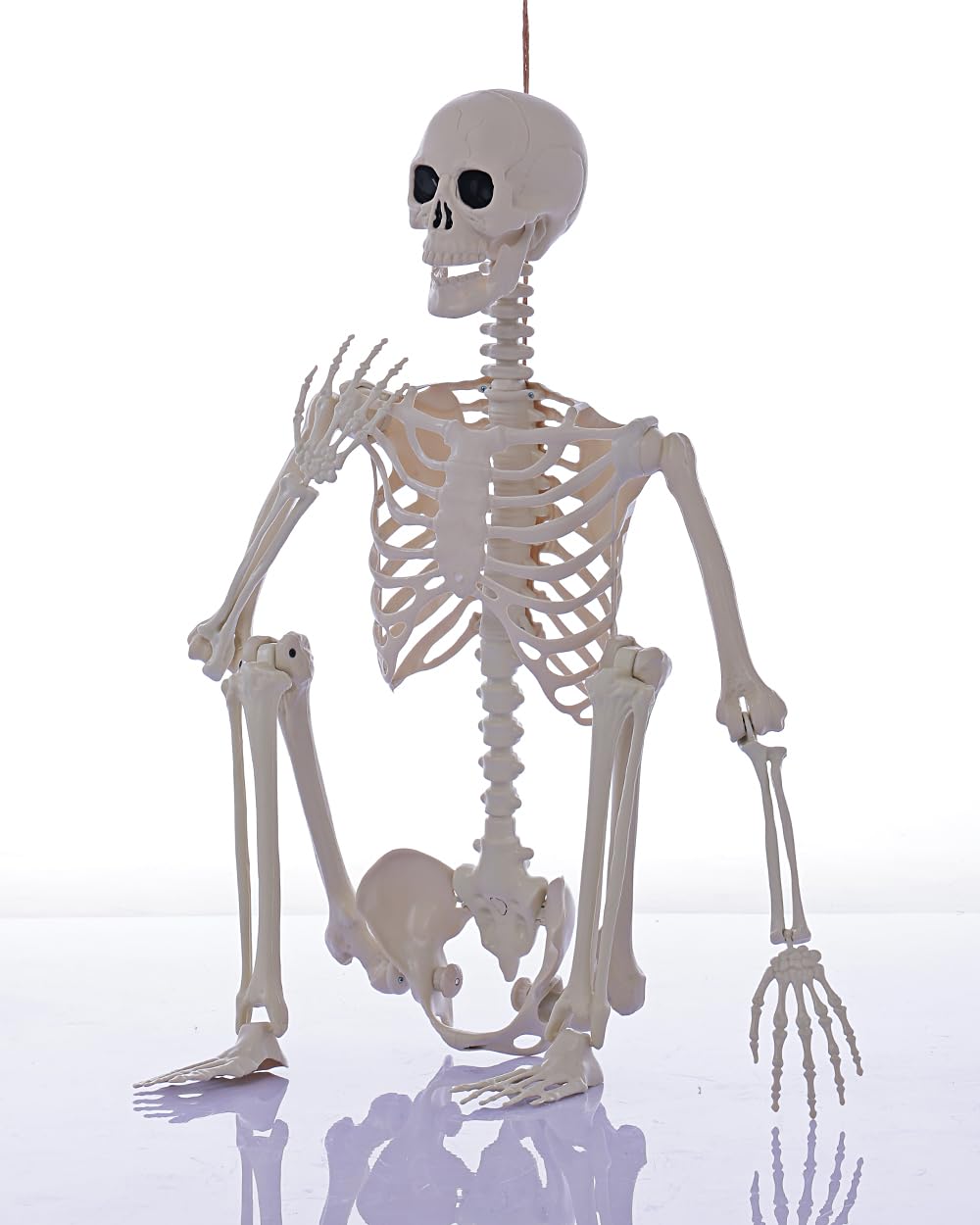 Life Size Posable Full Body Skeleton with Movable Joints Z53106