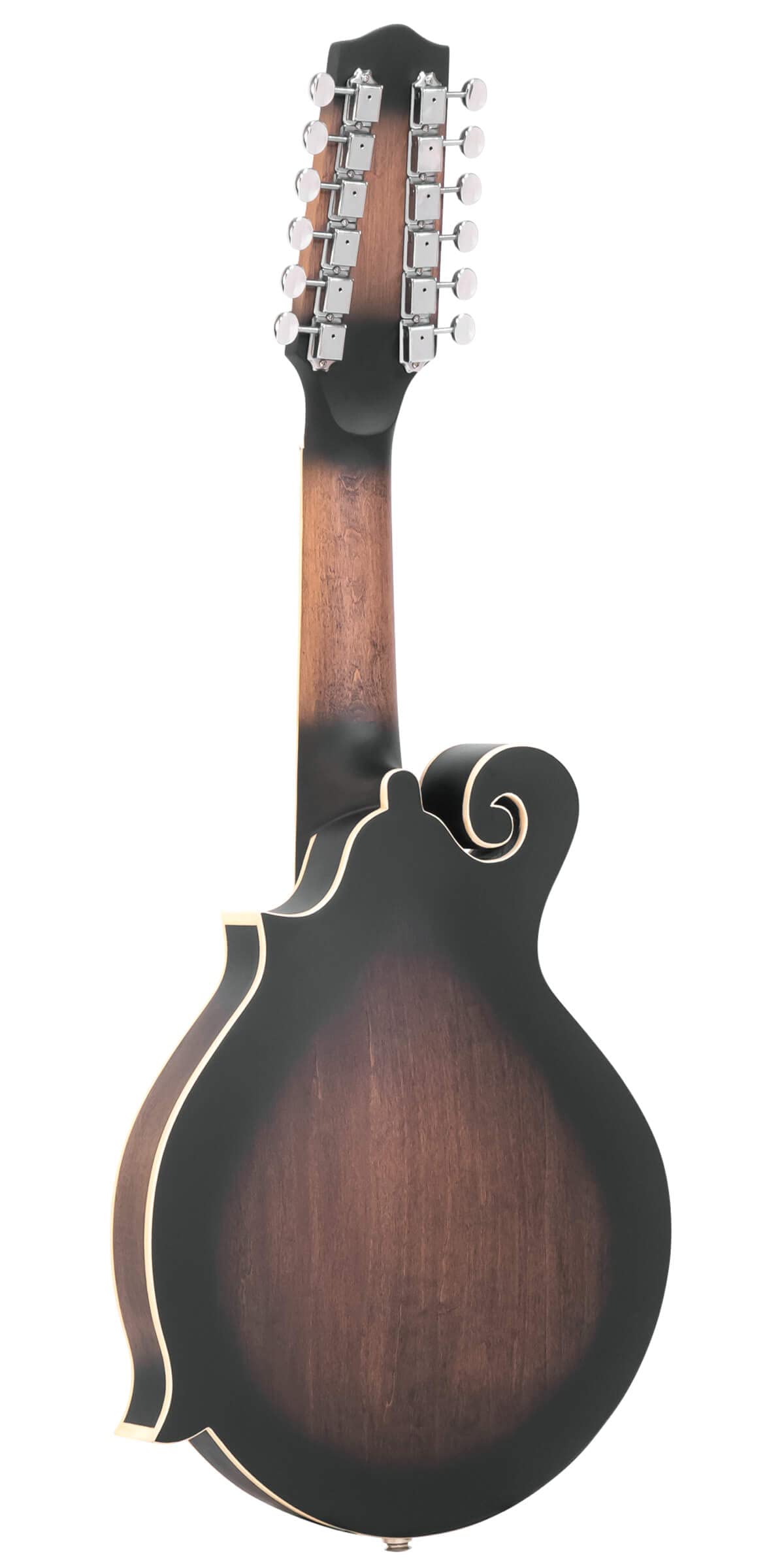 12-String Mando-Guitar with Hardshell Case B548