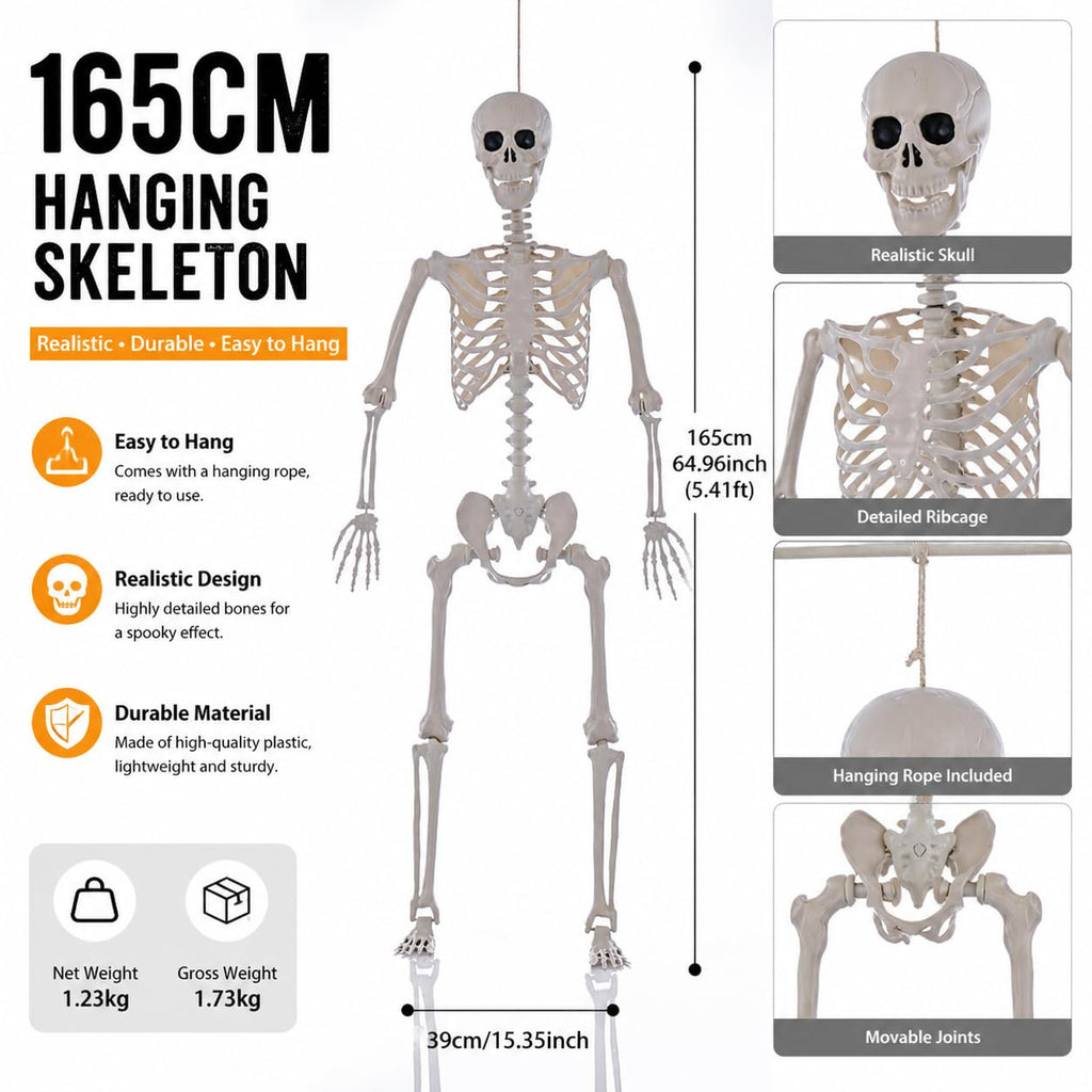 Life Size Posable Full Body Skeleton with Movable Joints Z53106