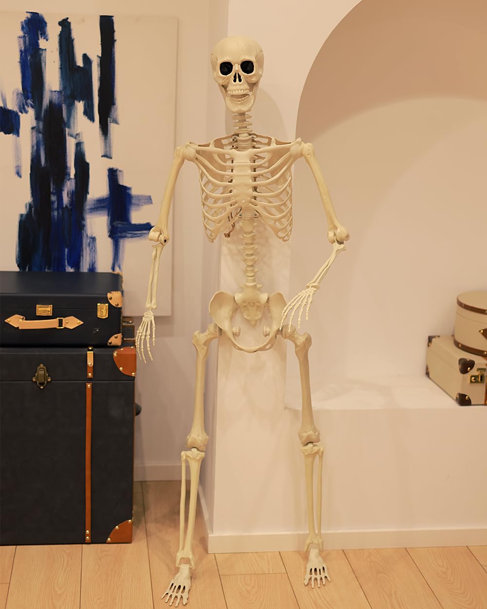 Life Size Posable Full Body Skeleton with Movable Joints Z53106