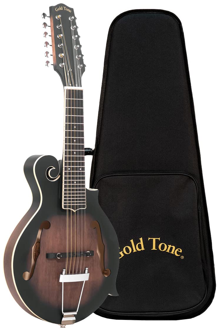 12-String Mando-Guitar with Hardshell Case B548