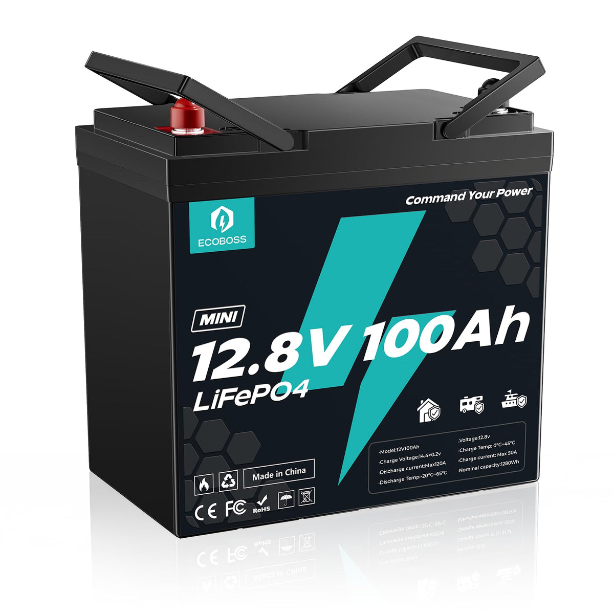 12V 100Ah LiFePO4 Battery G192258