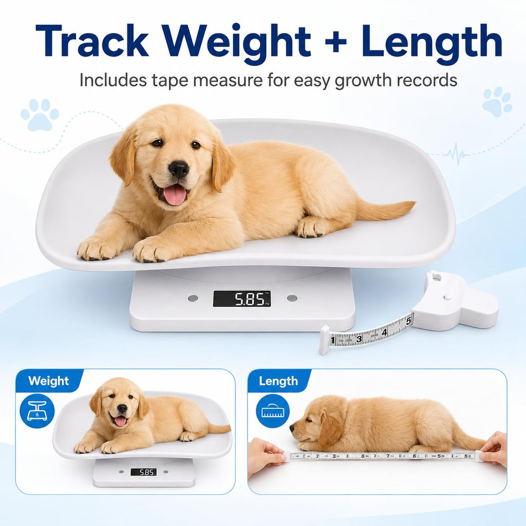 Digital Pet Scale with 1g Resolution and Tape Measure G133933