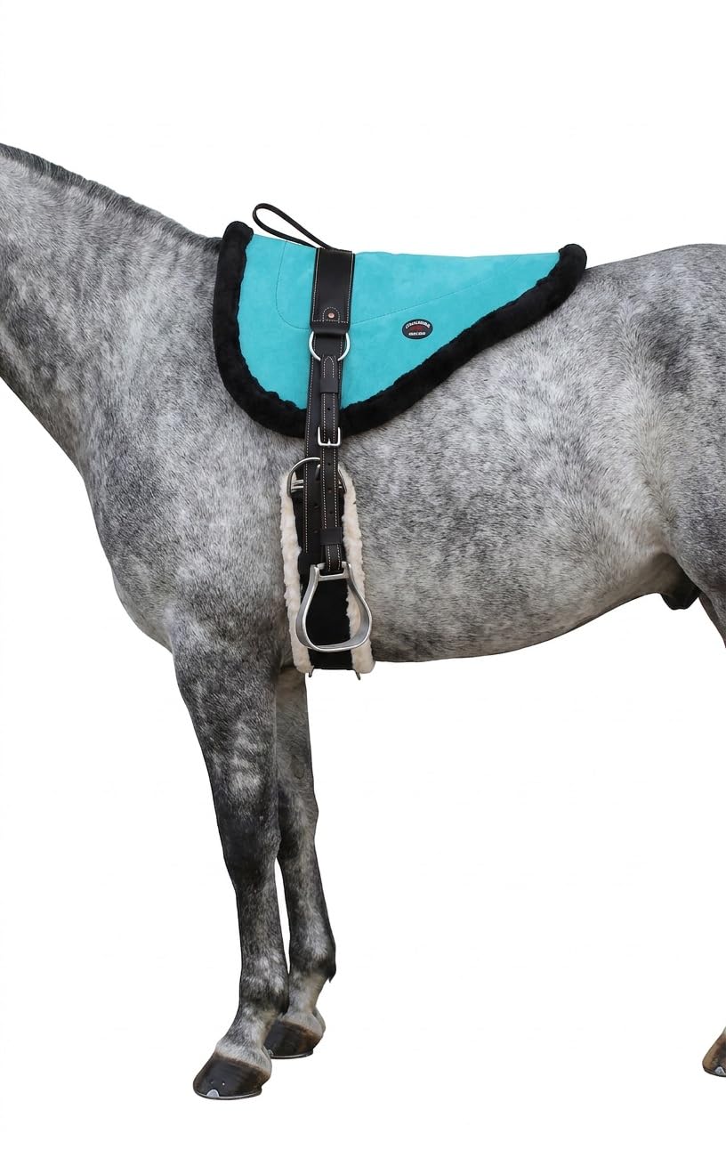 Turquoise Suede Leather Western Saddle Pad with Stirrups E7156