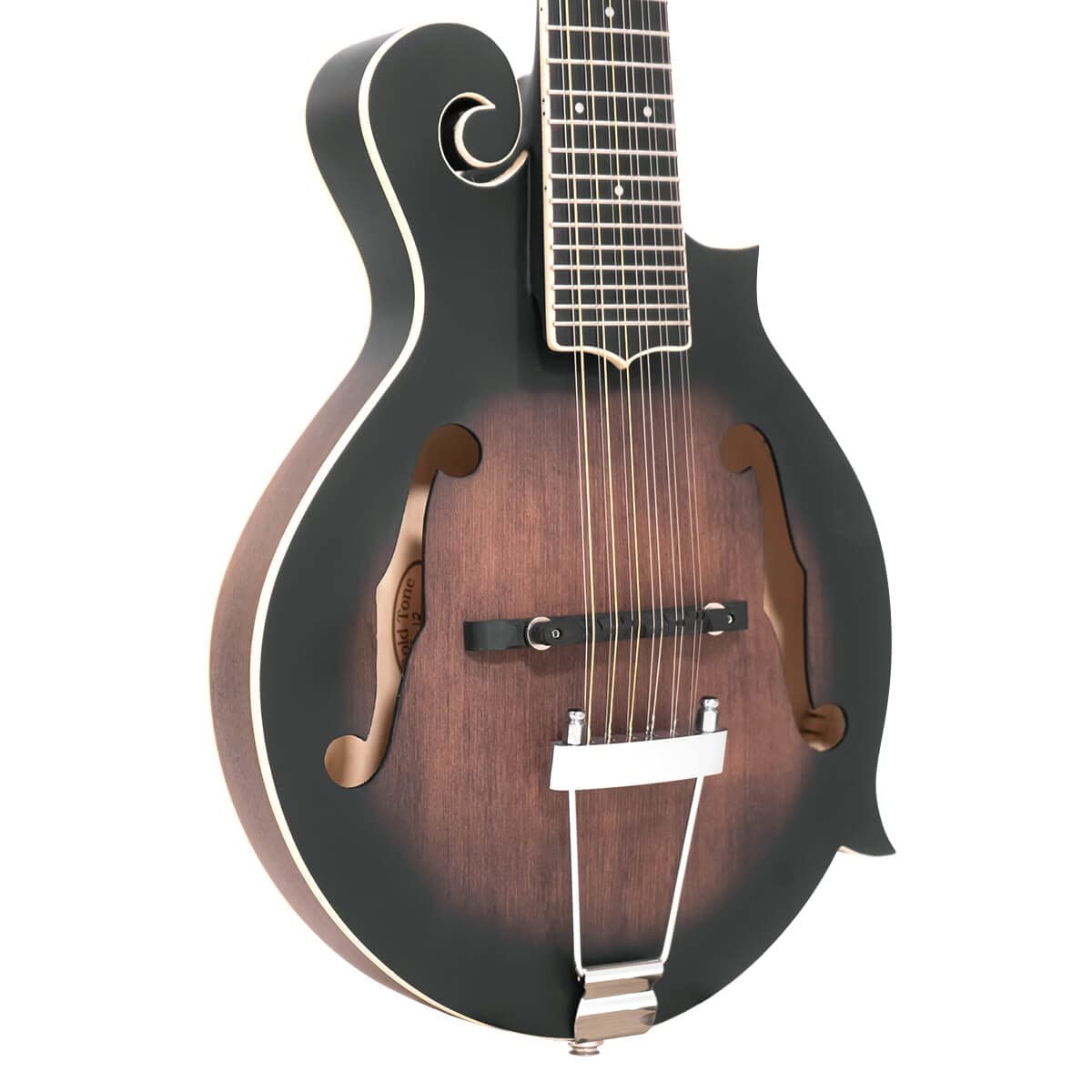 12-String Mando-Guitar with Hardshell Case B548