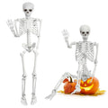 5.4 Ft White Skeleton with Movable Joints P13945