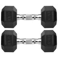 Rubber Coated Cast Iron Hex Dumbbells Y709