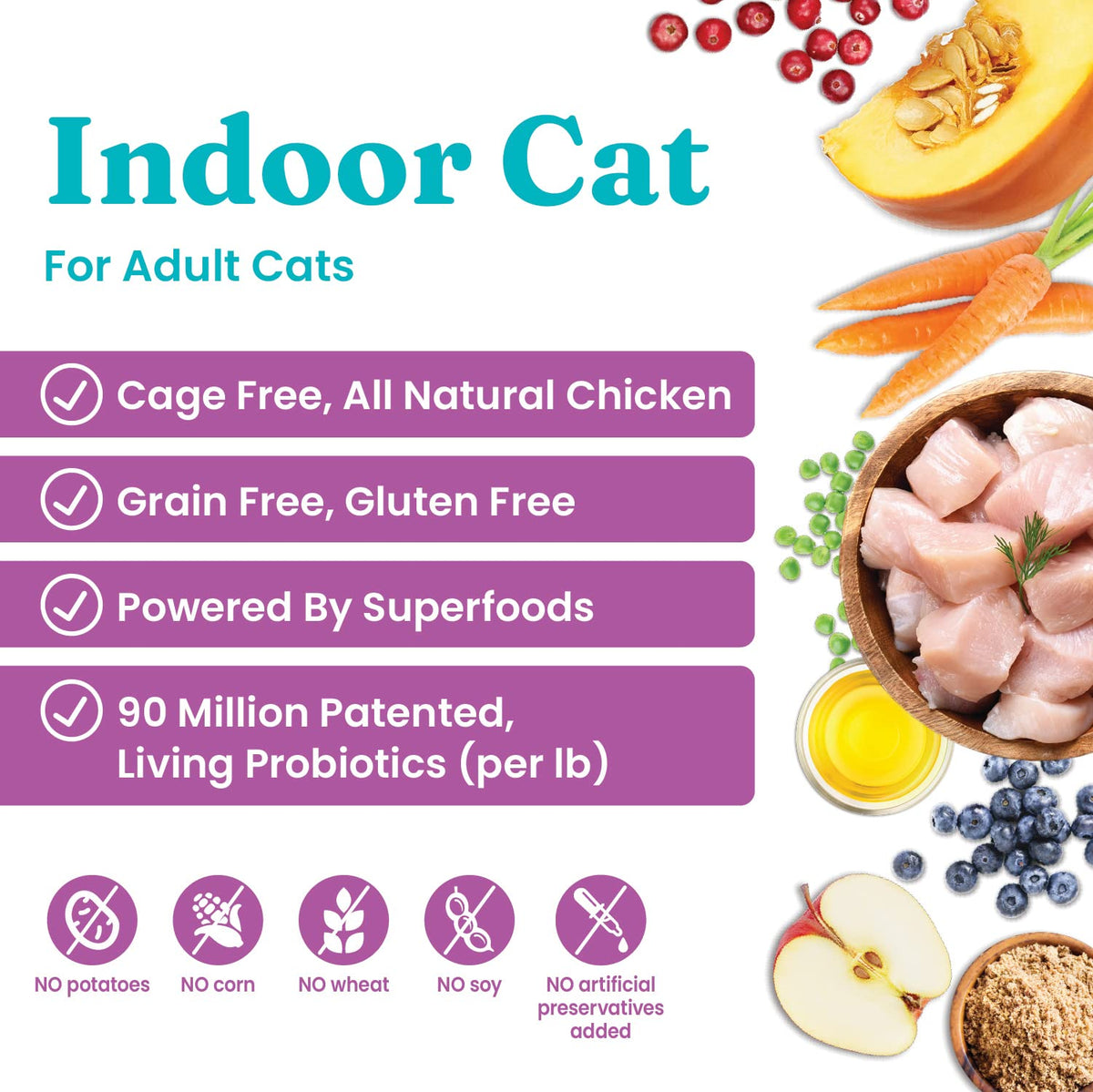 Solid Gold Dry Cat Food Chicken 6lb Wet Cat Food Variety Pack 12 Pack C800