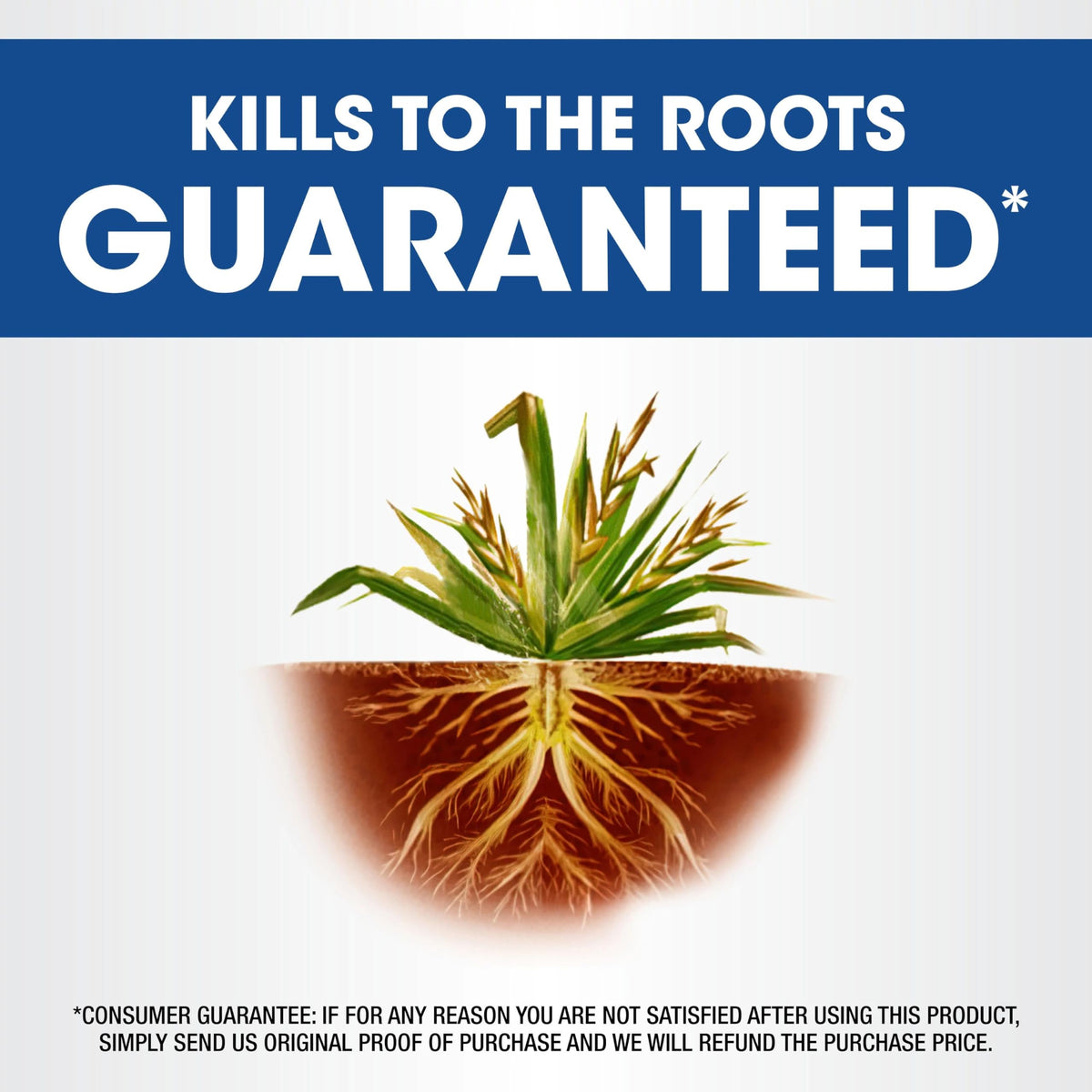 2.5 gal Concentrate Weed & Grass Killer Q488