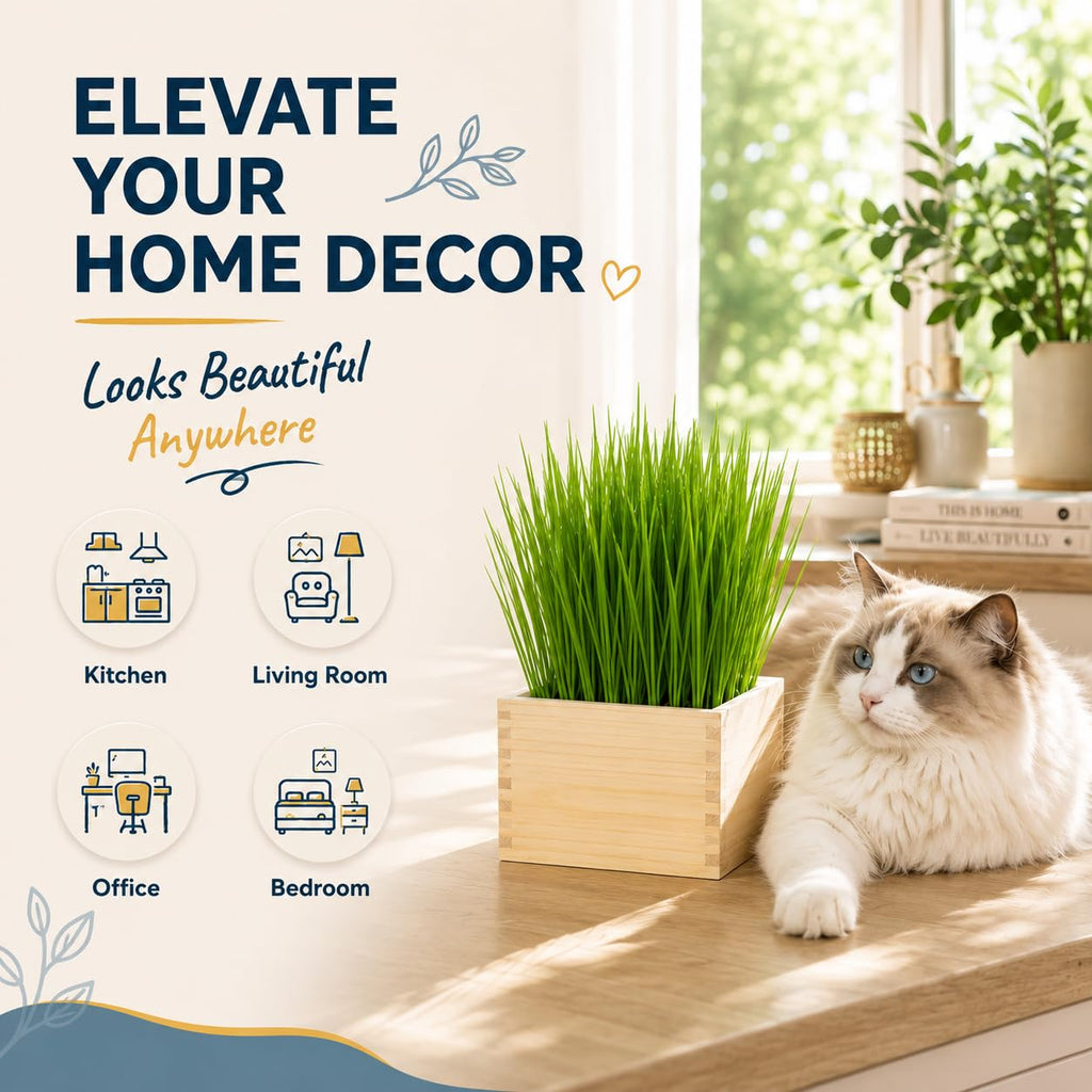 Cat Grass Growing Kit with Wooden Planter J38515