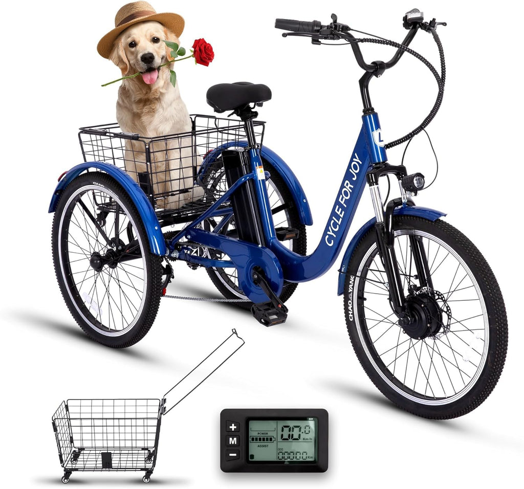 Electric Tricycle for Adults Q5194
