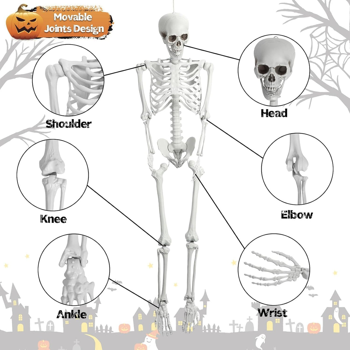5.4 Ft White Skeleton with Movable Joints P13945