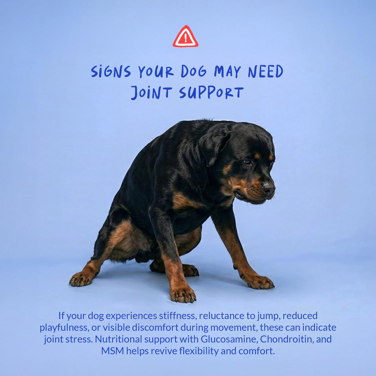 Glucosamine MSM & Chondroitin Dog Supplement 120 ct N24815