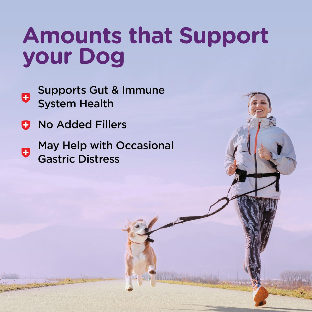 Dog Bladder Control 90 Tablets W86324