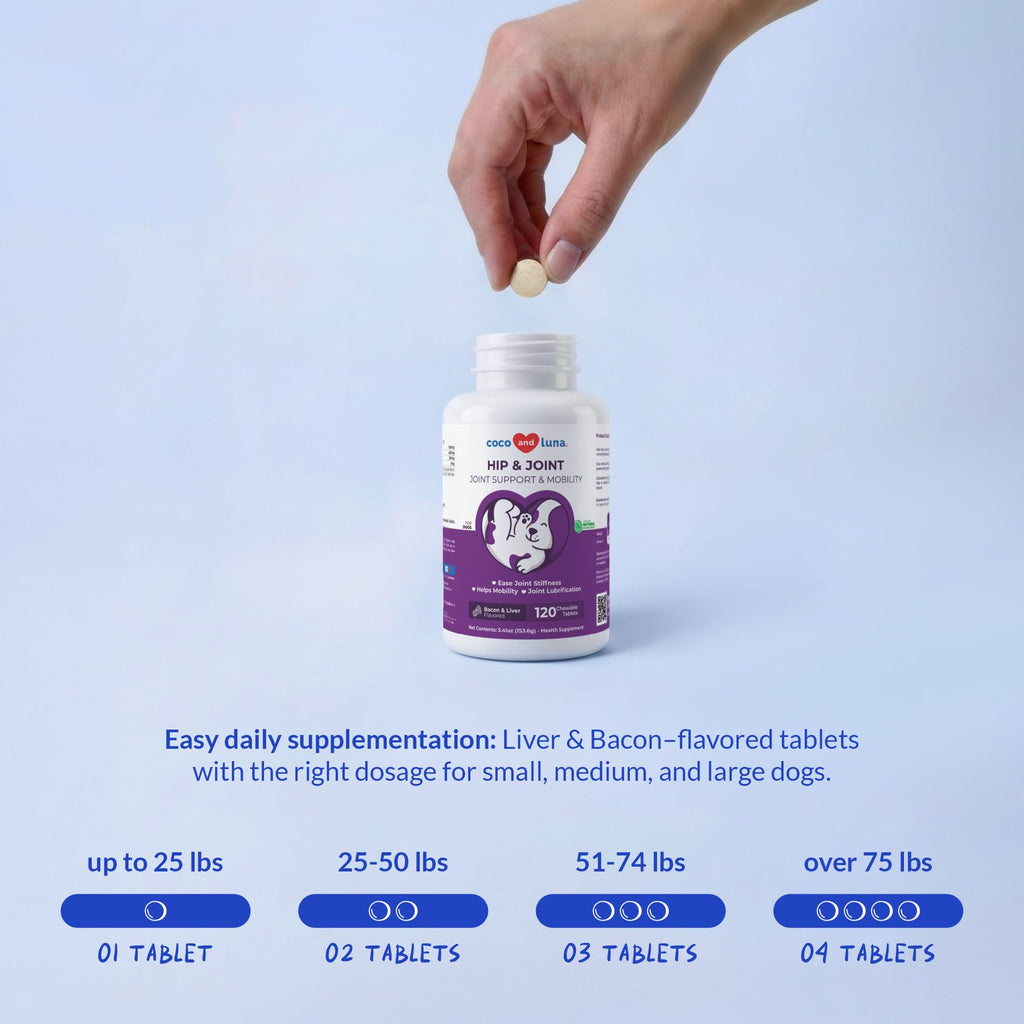 Glucosamine MSM & Chondroitin Dog Supplement 120 ct N24815