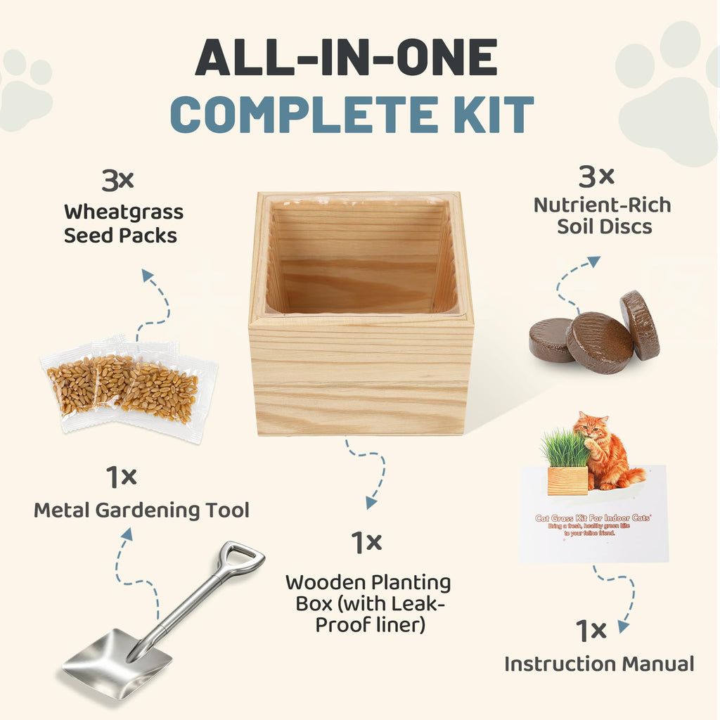 Cat Grass Growing Kit with Wooden Planter J38515