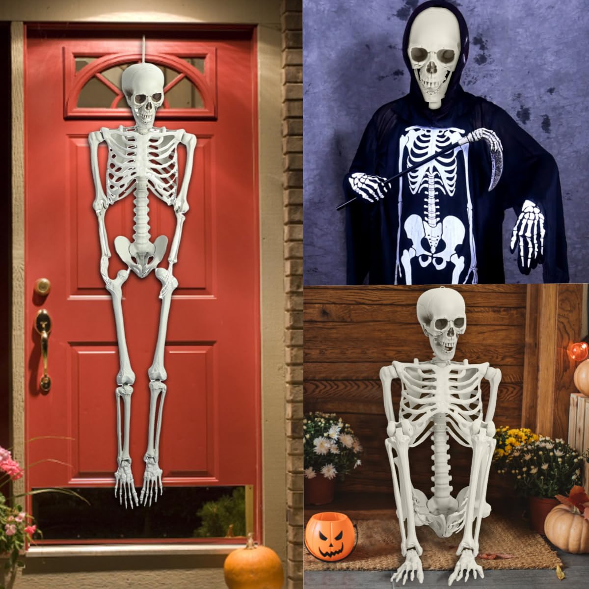 5.4 Ft White Skeleton with Movable Joints P13945
