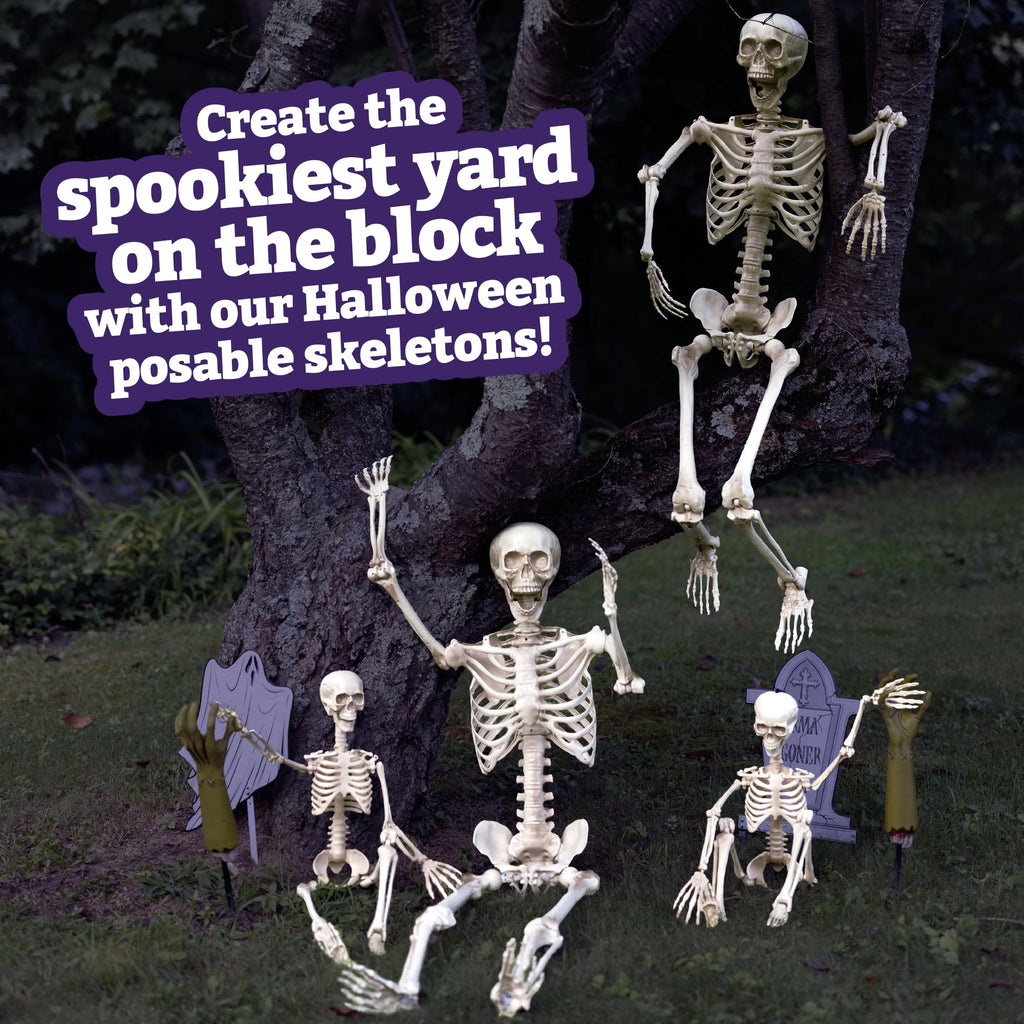 Life Size Posable Human Skeleton 4pk I454
