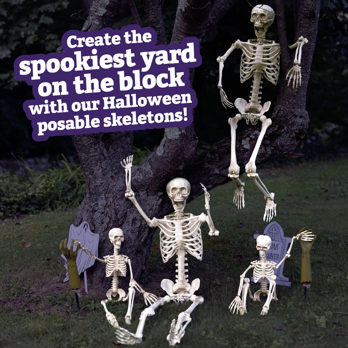 Life Size Posable Human Skeleton 4pk I454