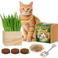 Cat Grass Growing Kit with Wooden Planter J38515