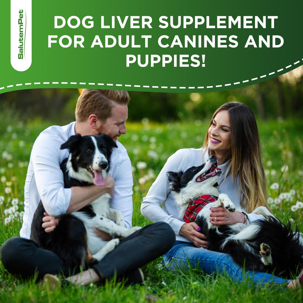 Milk Thistle Dog Liver Supplement 2 Oz F696714