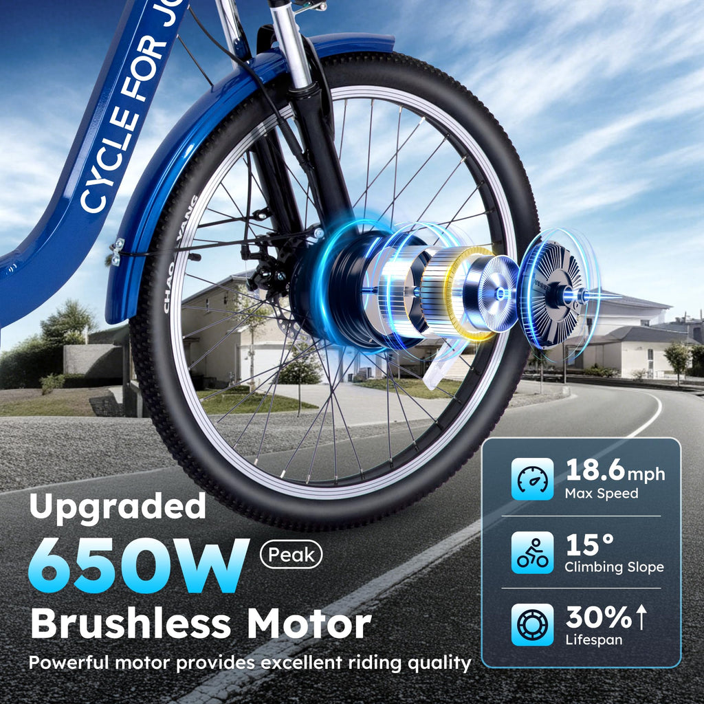Electric Tricycle for Adults Q5194