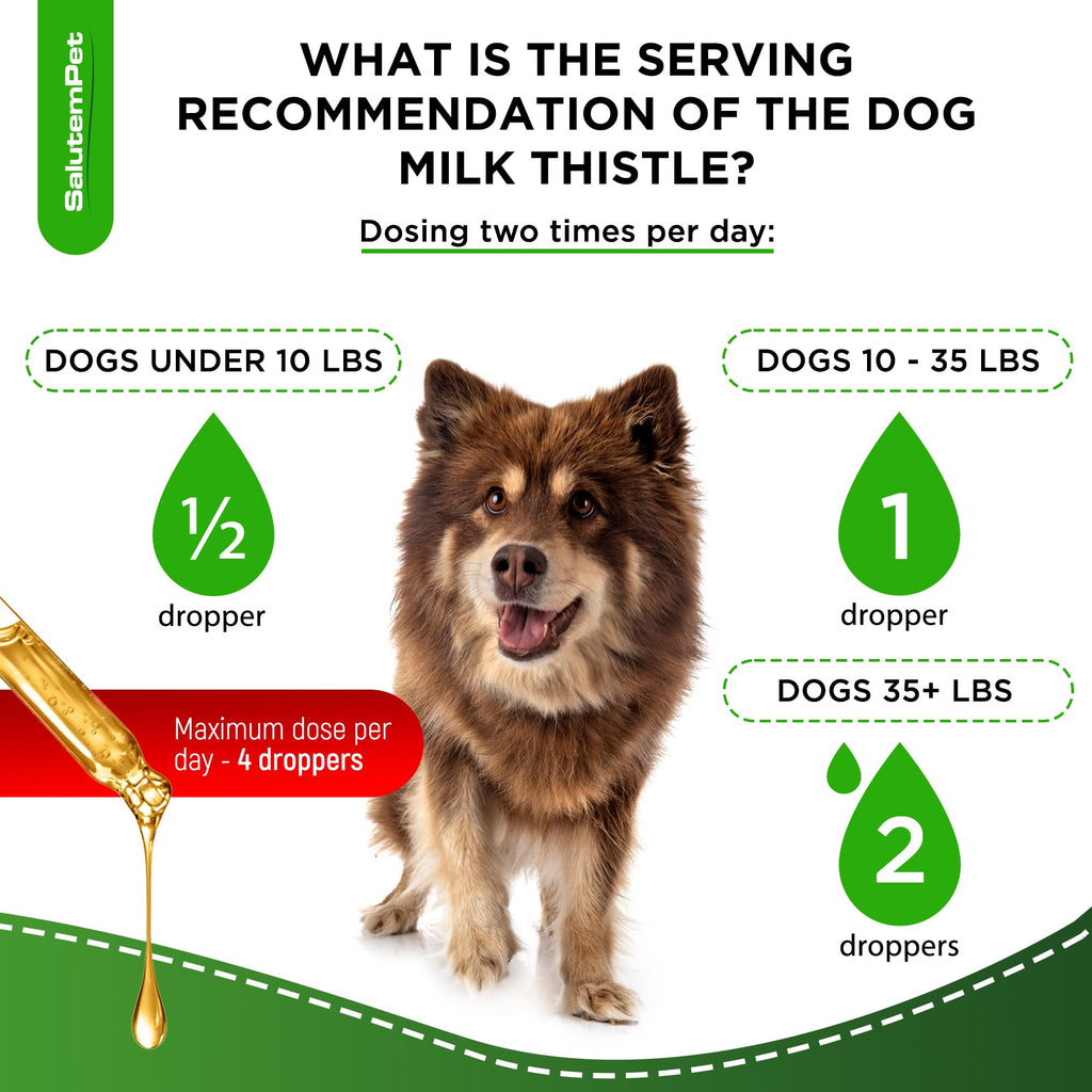 Milk Thistle Dog Liver Supplement 2 Oz F696714