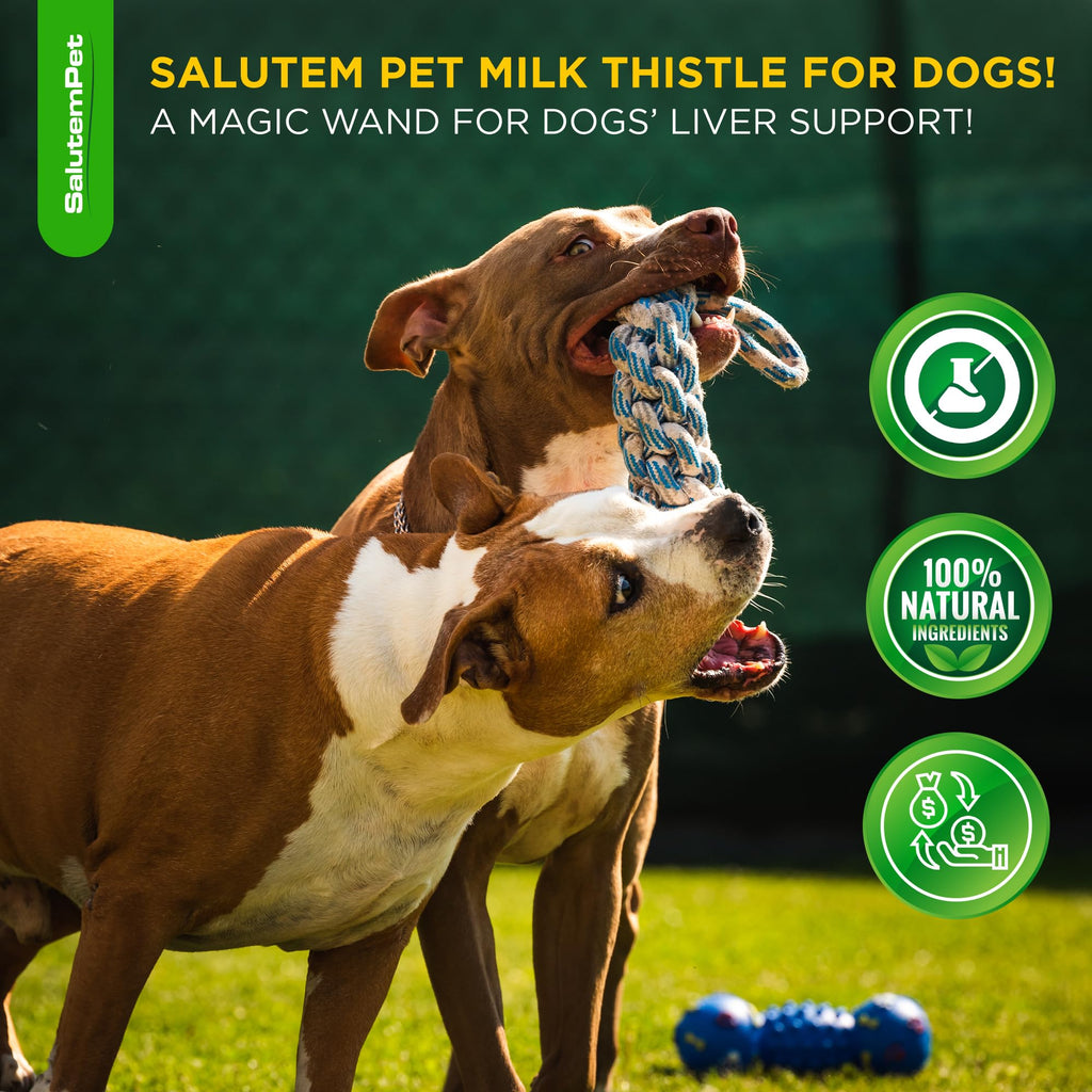 Milk Thistle Dog Liver Supplement 2 Oz F696714