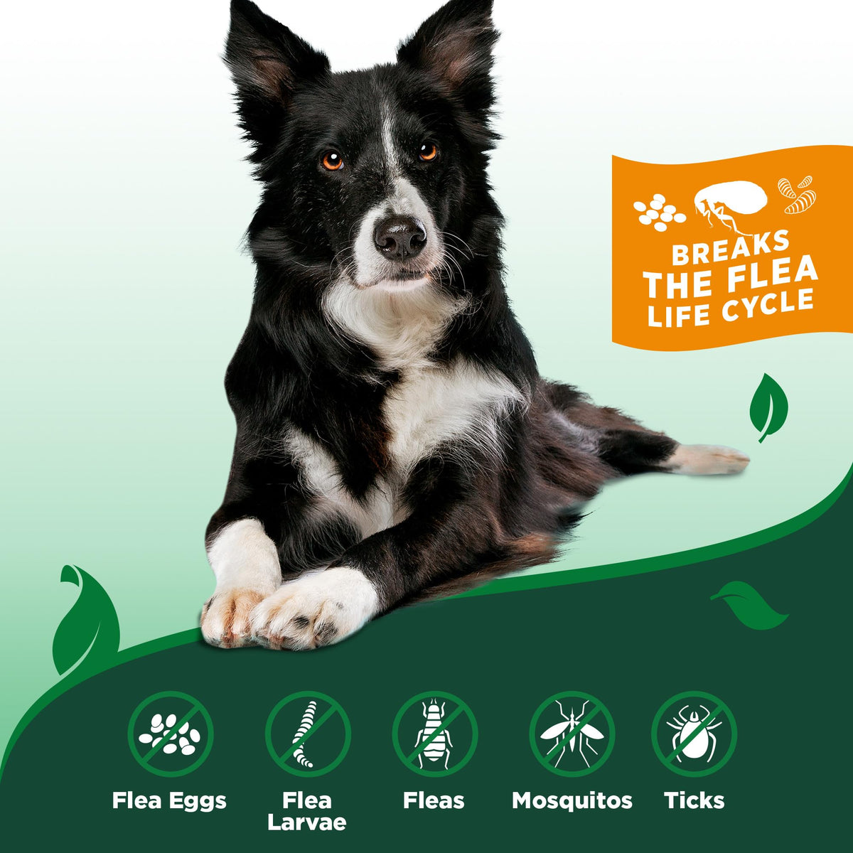 Indoor Flea & Tick Home Spray 32 oz D976