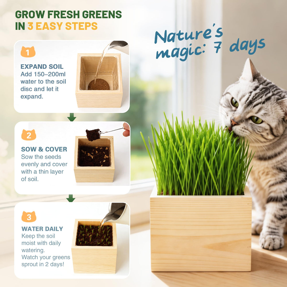Cat Grass Growing Kit with Wooden Planter J38515