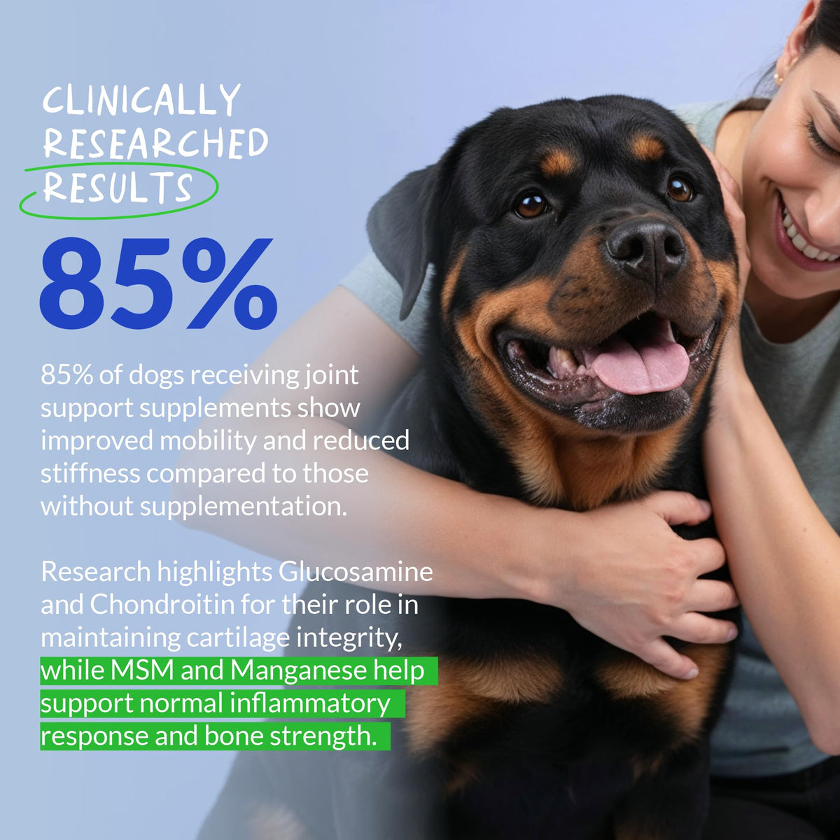 Glucosamine MSM & Chondroitin Dog Supplement 120 ct N24815
