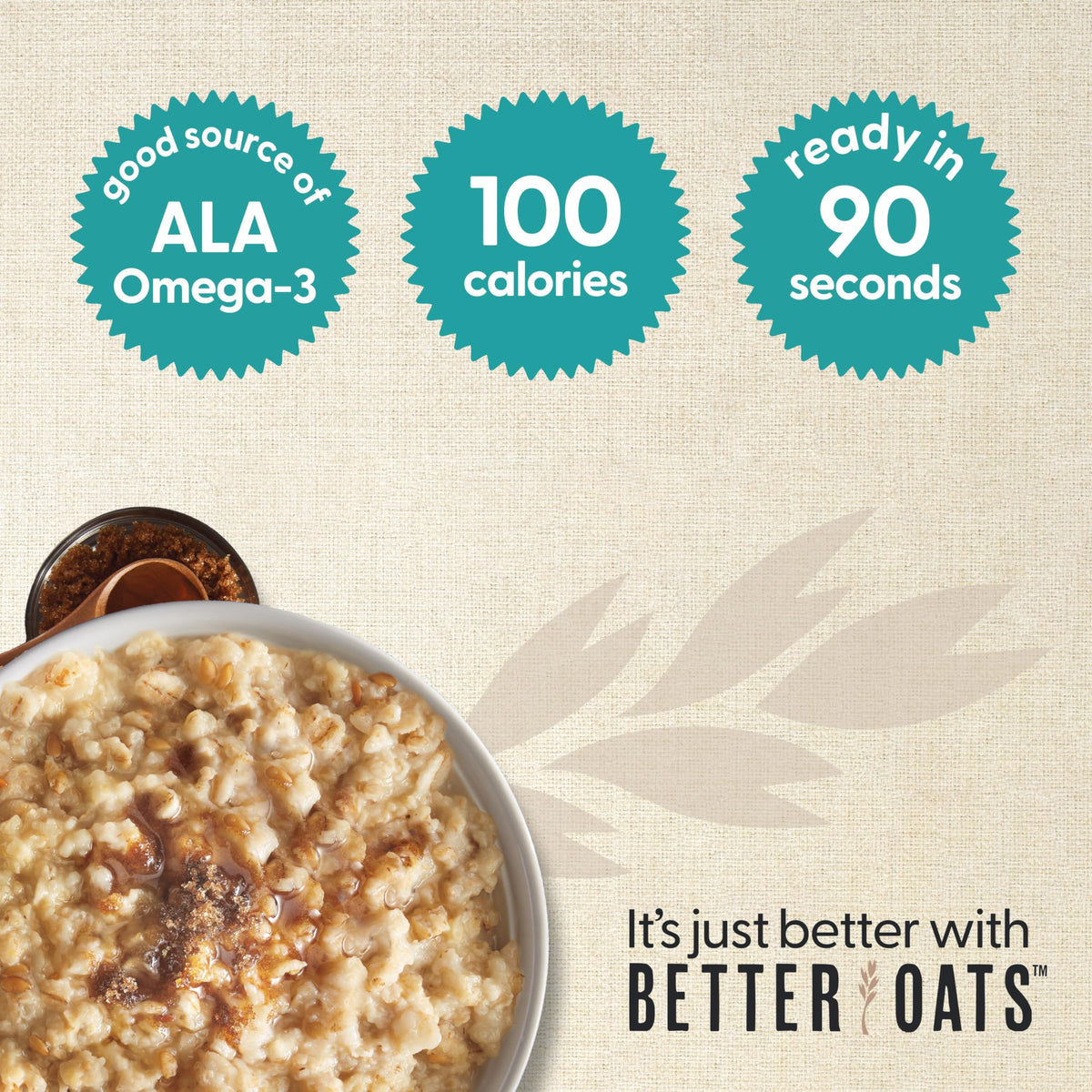 Maple & Brown Sugar Oatmeal 6 Pack S625