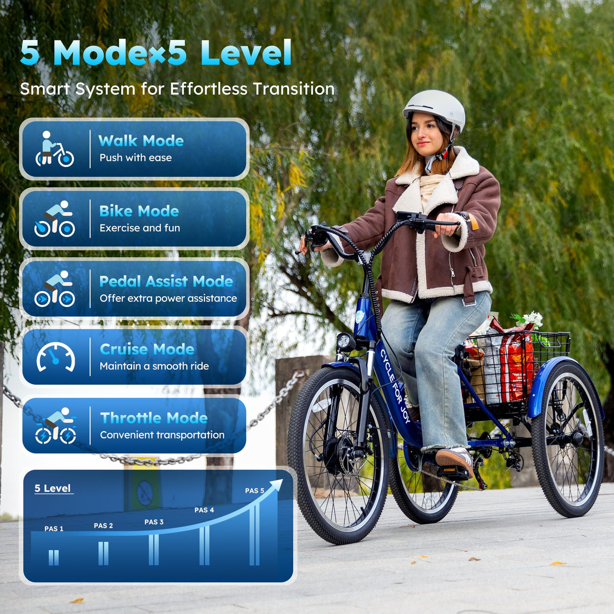 Electric Tricycle for Adults Q5194