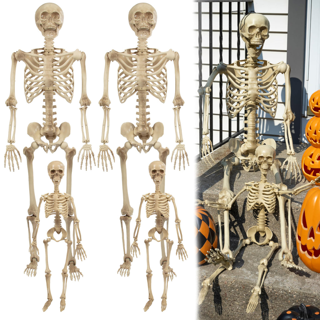 Life Size Posable Human Skeleton 4pk I454