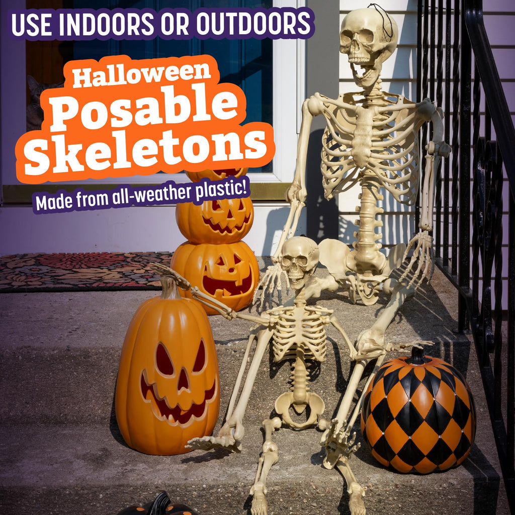 Life Size Posable Human Skeleton 4pk I454